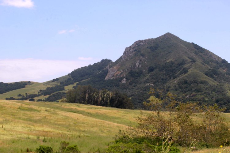 San Luis Obispo Botanical Garden- DearCreatives.com Coastal range of hills and mountains in Central Ca.