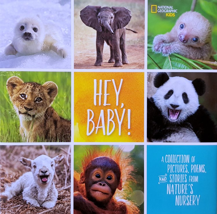 Hey Baby A National Geographic Kids Book Find out more © 2017 DearCreatives.com