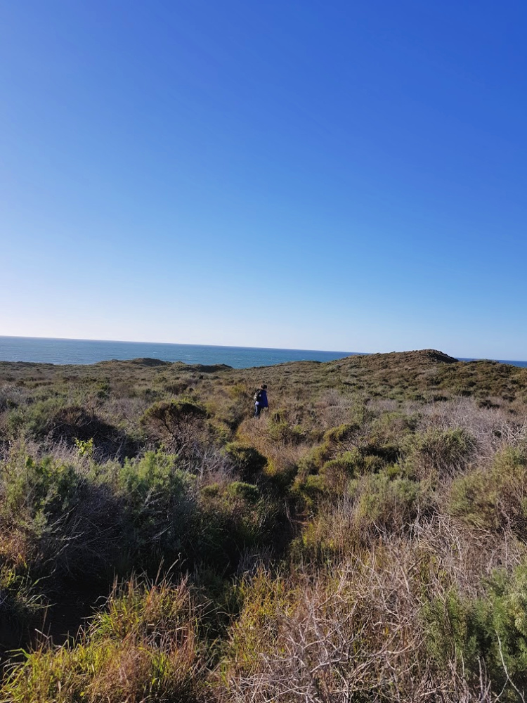 Nearing the top of the hike at Montana de Oro DearCreatives.com