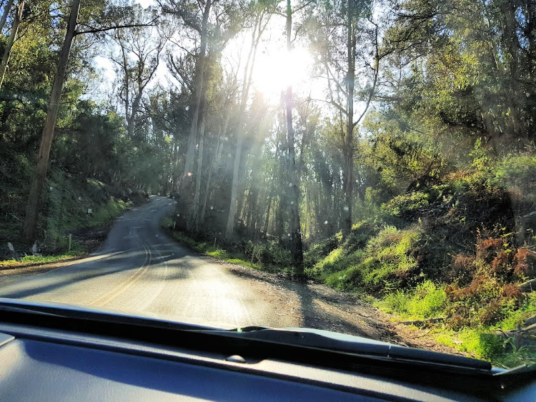 Road to Montana de Oro State Park, Calfornia DearCreatives.com