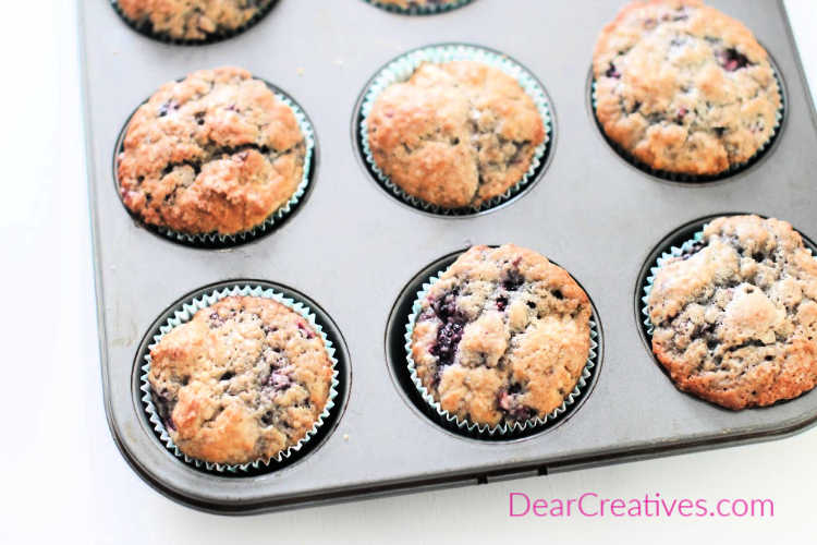 blackberry muffins in muffin pan that just finished baking © Muffin Recipe at DearCreatives.com