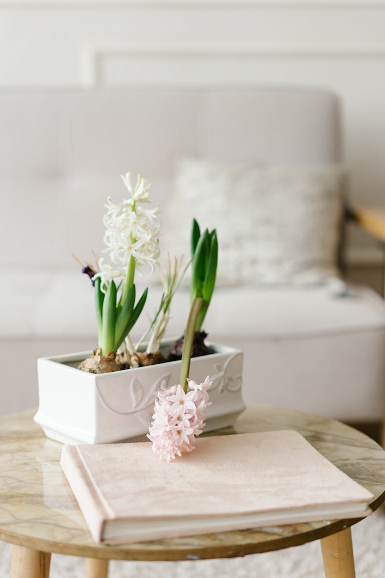 Decorate for spring: Stylish marble table setup with spring flowers-hyacinths and a book. Spring home refresh click over to see all the decor accents to create a beautiful spring home.